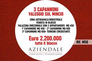 Immobile di 2131 m² a Valeggio sul Mincio