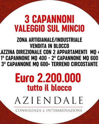 Immobile di 2131 m² a Valeggio sul Mincio