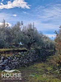 Ragalna - terreno agricolo id: ra111t