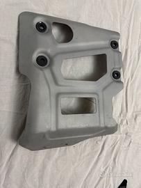 Para motore Tiger 1200 2024