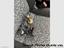 Immagine 20