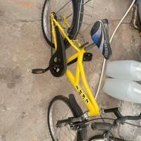 bicicletta 