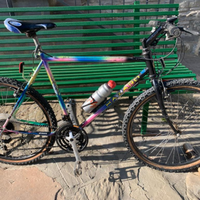 Mountain bike uomo
