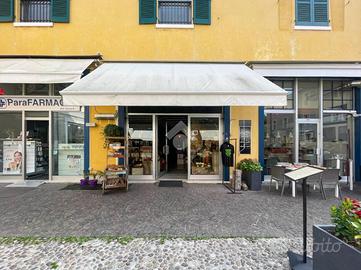 ATTIVITÀ A PESCHIERA DEL GARDA