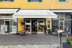 ATTIVITÀ A PESCHIERA DEL GARDA