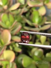 Zircone naturale 3.98 ct - Gemma per gioeilli