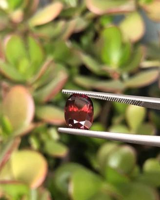 Zircone naturale 3.98 ct - Gemma per gioeilli