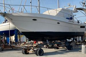 SAGENE 37 FISH + 2x330hp AIFO