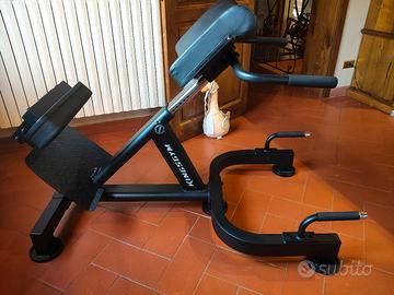Panca romana hyperextension King's Gym come nuova