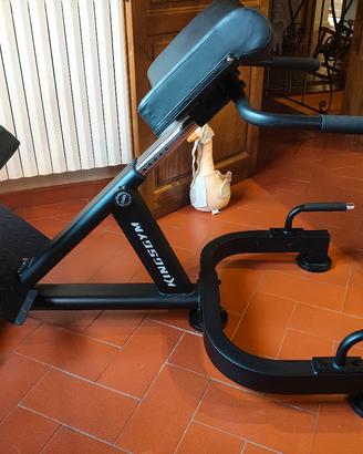 Panca romana hyperextension King's Gym come nuova