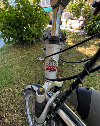 Biciclettata uomo