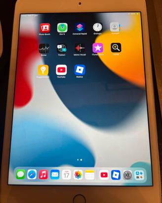 Ipad mini 4