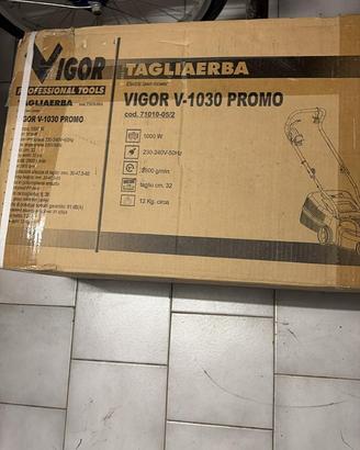 Tagliaera elettrico