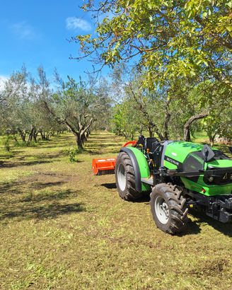 Mi candido per lavori agricoli o trasporto merci