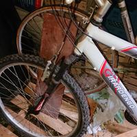 mtb girardengo 24