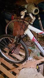 mtb girardengo 24