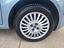 Immagine 7