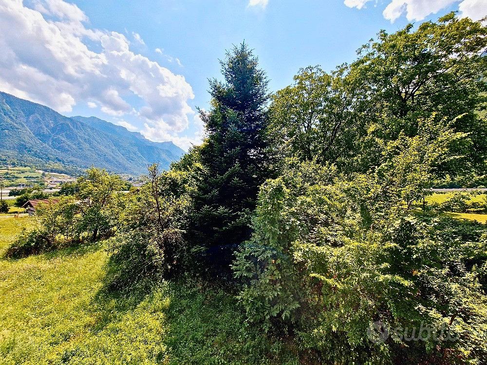 Alloggio in campagna - Altro