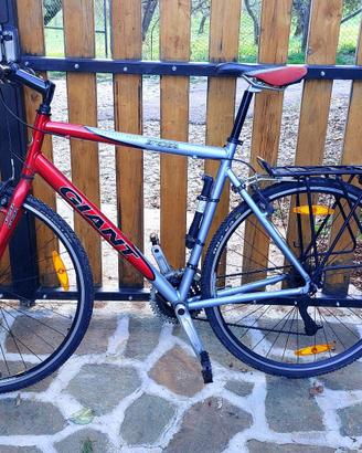 Giant FCR compact road