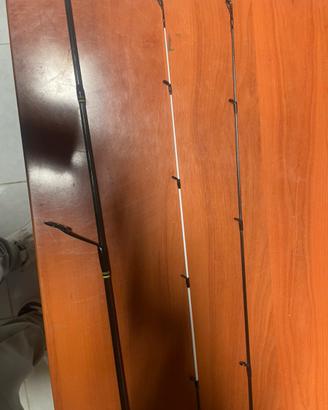 Canna da ultralite con due vettini