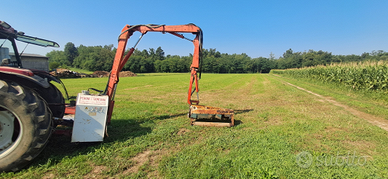 Braccio decespugliatore tagliarive