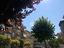 Immagine 9