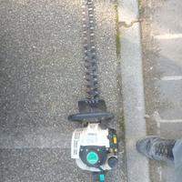 Tagliasiepi a scoppio