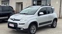 fiat-panda-1-3-mjt-95-cv-s-s-4x4-trekking