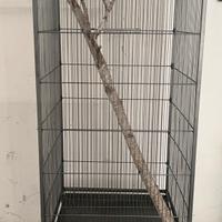 Voliera birdcage 54x54x145
