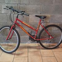 Mountain bike donna