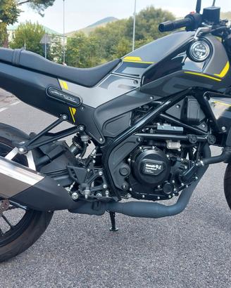 benelli leoncino 250