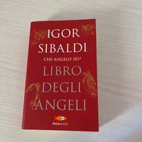 Libro degli angeli