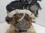 Immagine 7