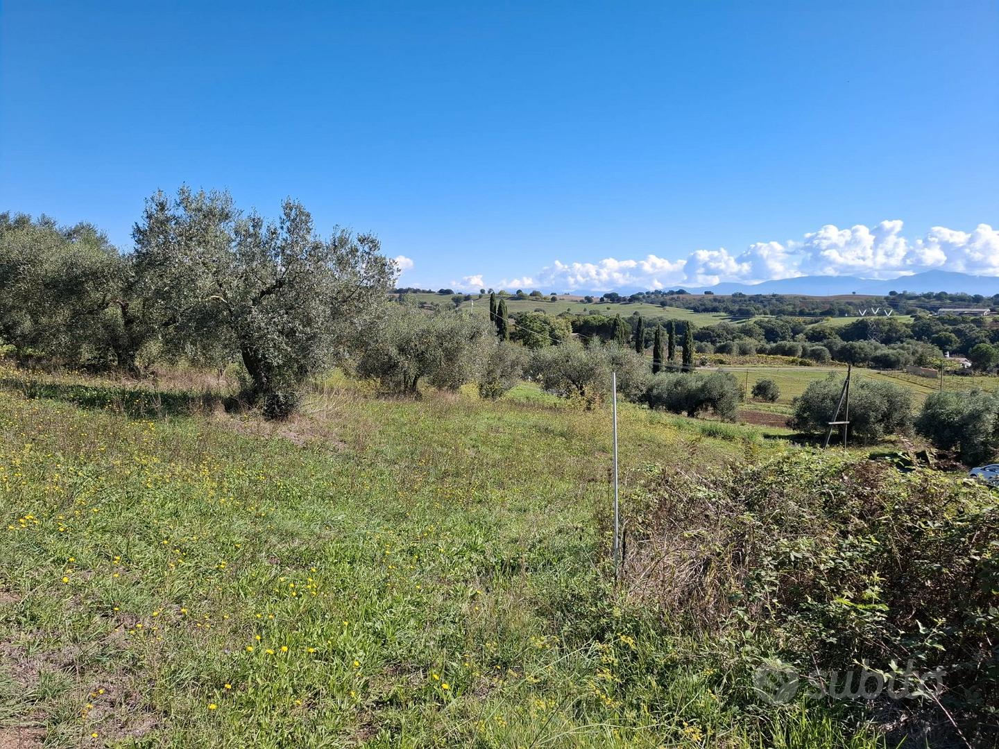 Terreno agricolo - Vista 3
