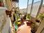 Immagine 9