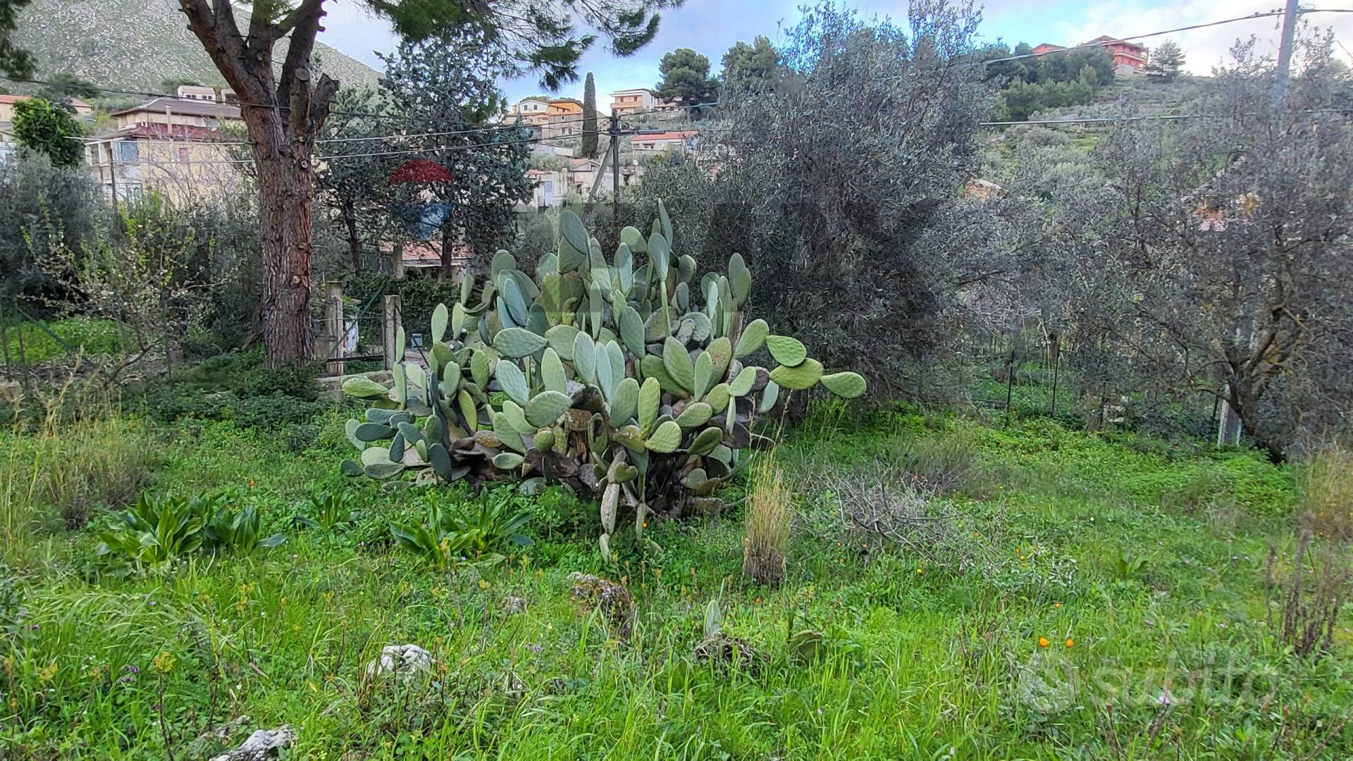 Terreno Edificabile - Monreale - Altro