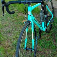 bianchi 