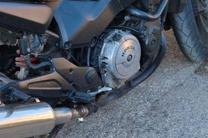 Honda x11 castom