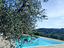 Immagine 7