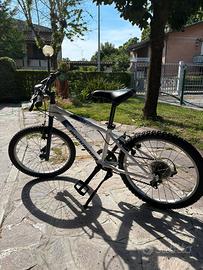 Mountain bike blmbo con cambio shimano