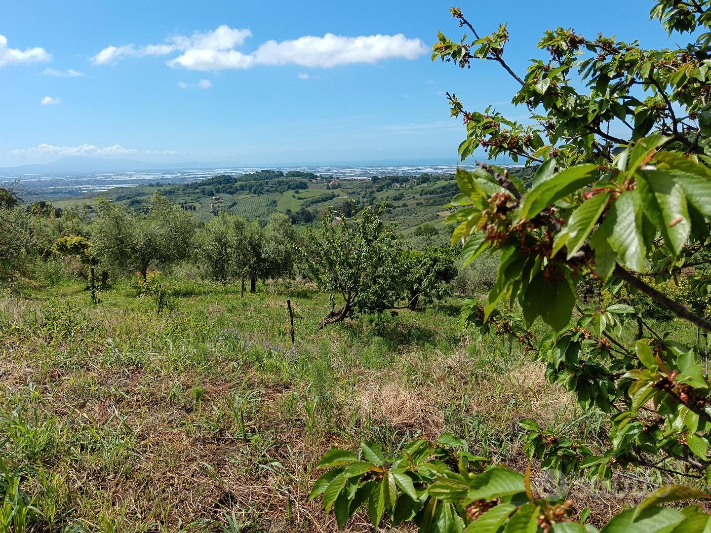 Terreno agricolo - Vista 2