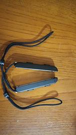 laccetti joycon