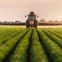 Terreno Agricolo nel cuore di Conselve
