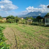 Terreno edificabile di mq 1000