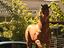 Immagine 3