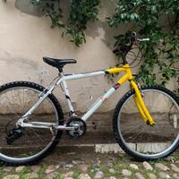 Bici mtb 26