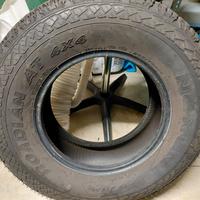 Gomme Rodian AT 4x4  265/70/16
