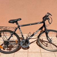 Bici bottecchia