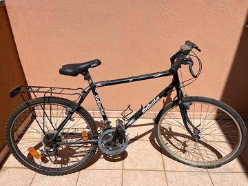 Bici bottecchia