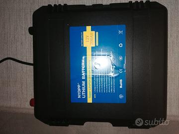 NYDPP Batteria al litio Super LiFePO4 12V 200AH 